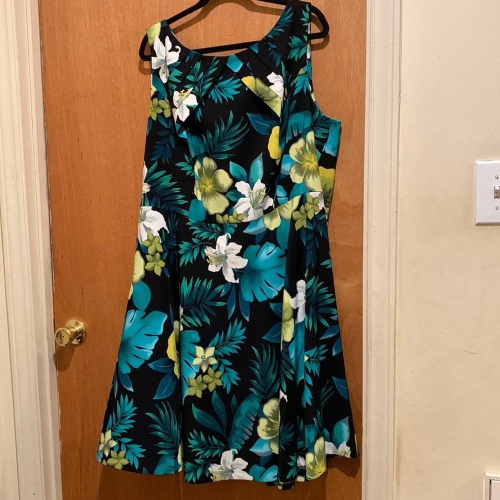 Women’s Dress Barn Darby dress size 22W.